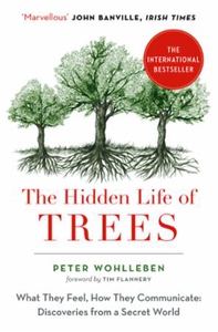 The Hidden Life of Trees (ebok) av Peter Wohl