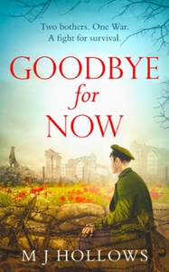 Goodbye for Now (ebok) av M.J. Hollows