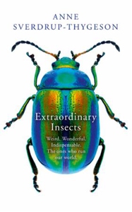 Extraordinary Insects (ebok) av Anne Sverdrup