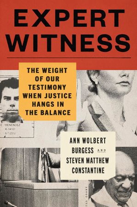 Expert Witness - The Weight of Our Testimony When Justice Hangs in the Balance (ebok) av Ann Wolbert Burgess