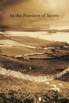 In the Province of Saints - A Novel (ebok) av Thomas O'Malley