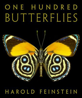 One Hundred Butterflies (ebok) av Ukjent