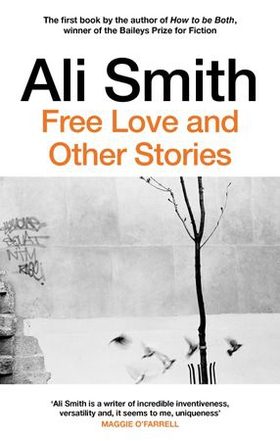 Free love and other stories (ebok) av Ali Smith