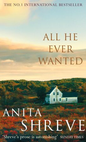 All He Ever Wanted (ebok) av Anita Shreve