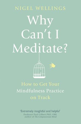 Why Can't I Meditate?
