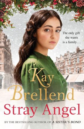 Stray Angel: an absolutely heart-rending Christmas saga (ebok) av Kay Brellend