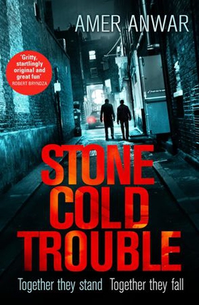 Stone Cold Trouble (ebok) av Amer Anwar