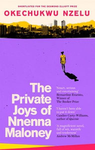 The Private Joys of Nnenna Maloney (ebok) av