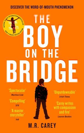 The Boy on the Bridge