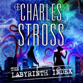 The Labyrinth Index