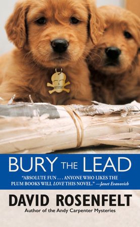 Bury the Lead