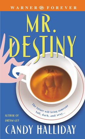 Mr. Destiny (ebok) av Candy Halliday