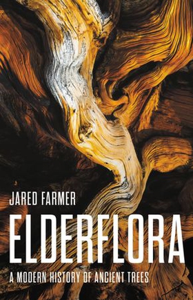 Elderflora - A Modern History of Ancient Trees (ebok) av Jared Farmer