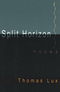 Split Horizon (e-bok) av Thomas Lux
