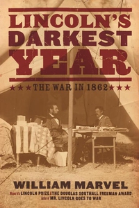 Lincoln's Darkest Year (e-bok) av William Marve