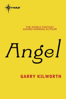 Angel (ebok) av Garry Kilworth