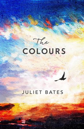 The Colours - a captivating, epic historical drama about family, love and loss (ebok) av Juliet Bates