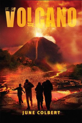 Volcano (ebok) av June Colbert