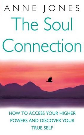 The Soul Connection - How to access your higher powers and discover your true self (ebok) av Anne Jones