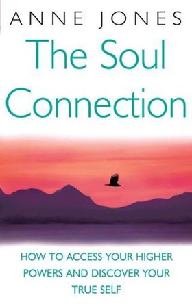 The Soul Connection