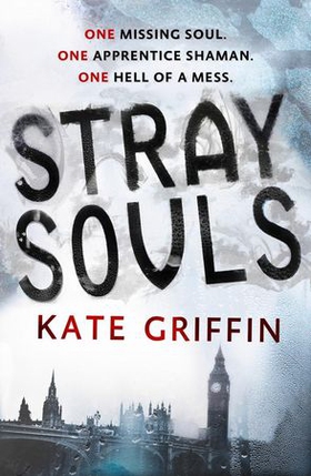 Stray Souls (ebok) av Kate Griffin