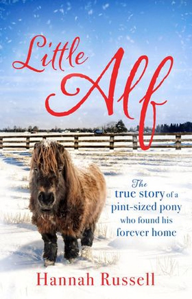 Little Alf - The true story of a pint-sized pony who found his forever home (ebok) av Hannah Russell