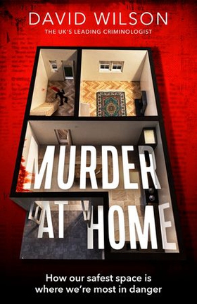 Murder at Home - how our safest space is where we're most in danger (ebok) av David Wilson