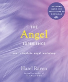 The Angel Experience