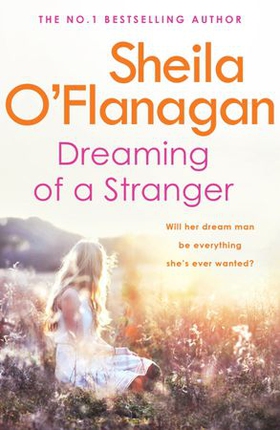 Dreaming of a Stranger - An unputdownable novel of hopes and dreams... and love (ebok) av Sheila O'Flanagan