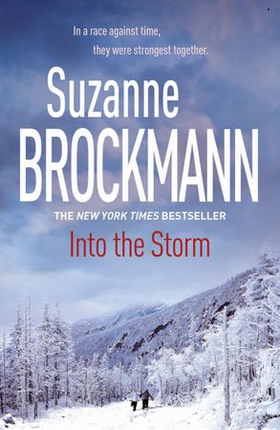 Into the Storm: Troubleshooters 10 (ebok) av Suzanne Brockmann
