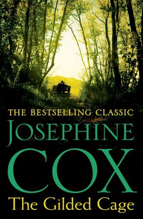 The Gilded Cage - A gripping saga of long-lost family, power and passion (ebok) av Josephine Cox