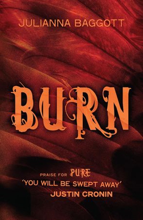 Burn (ebok) av Julianna Baggott