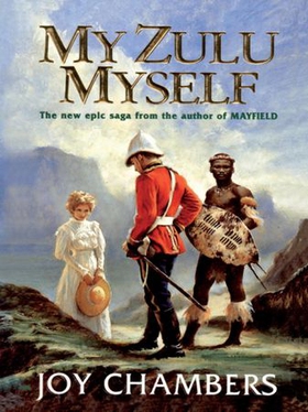 My Zulu, Myself - A glorious epic saga of love and brotherhood (ebok) av Joy Chambers