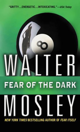 Fear of the Dark - A Novel (ebok) av Walter Mosley