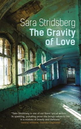 The Gravity of Love (ebok) av Sara Stridsberg