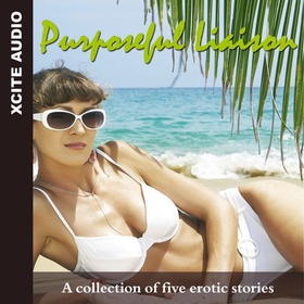 Purposeful Liaison - A collection of five erotic stories (lydbok) av Ukjent