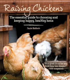 Raising Chickens (ebok) av Suzie Baldwin