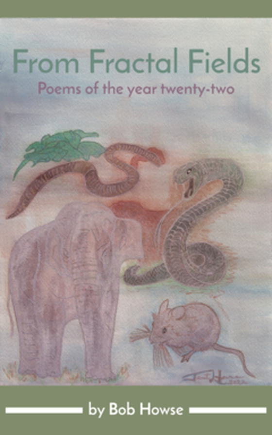 From Fractal Fields - Poems of the year twenty-two (e-bok) av Bob Howse