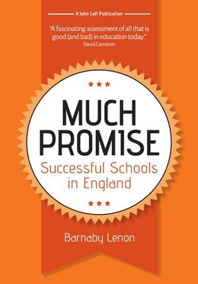 Much Promise: Successful Schools in England (ebok) av Barnaby Lenon