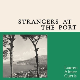 Strangers at the Port - From one of Granta's Best of Young British Novelists (lydbok) av Lauren Aimee Curtis