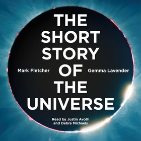 The Short Story of the Universe