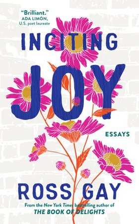 Inciting Joy - Essays (ebok) av Ross Gay