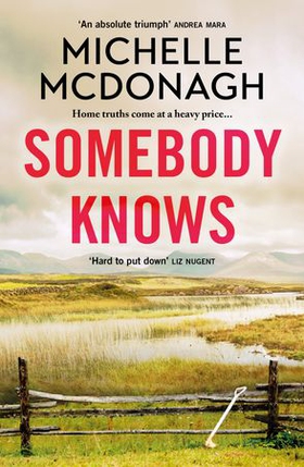 Somebody Knows - A gripping, addictive page-turner about dangerous secrets and the lengths people will go to keep them (ebok) av Michelle McDonagh