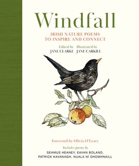 Windfall - Irish Nature Poems to Inspire and Connect (ebok) av Jane Clarke