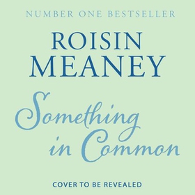 Something in Common - A heart-warming, emotional story of female friendship (lydbok) av Roisin Meaney