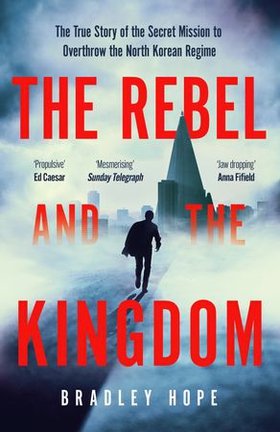 The Rebel and the Kingdom - The True Story of the Secret Mission to Overthrow the North Korean Regime (ebok) av Bradley Hope