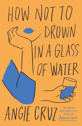 How Not to Drown in a Glass of Water (ebok) av Angie Cruz