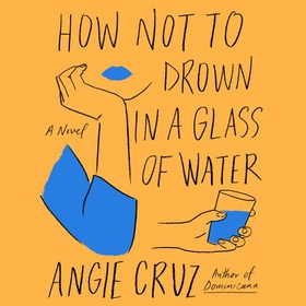 How Not to Drown in a Glass of Water (lydbok) av Angie Cruz