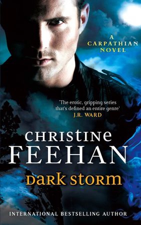 Dark Storm - Number 23 in series (ebok) av Christine Feehan