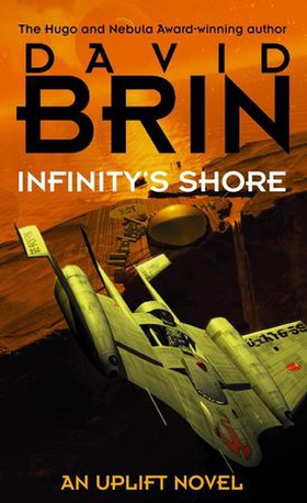 Infinity's Shore (ebok) av David Brin